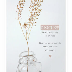 Poster - Geniet