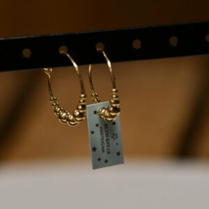 Blinckstar Oorbellen 202B36