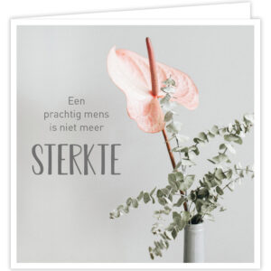 Pastel: Sterkte, Condoleance