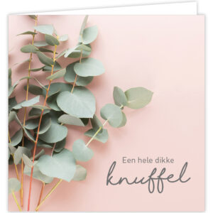 Wenskaart - Knuffel