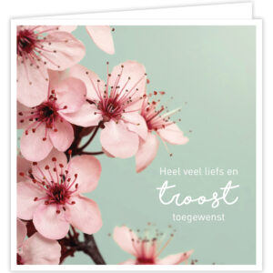 Wenskaart - Troost
