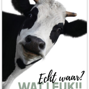 Wild - Echt waar