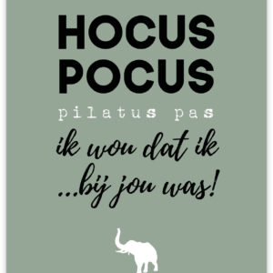 Wild - Hocus Pocus