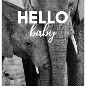 Wild - Hello Baby