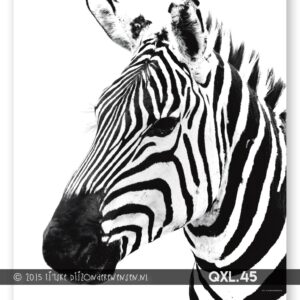 Tuinposter - Zebra