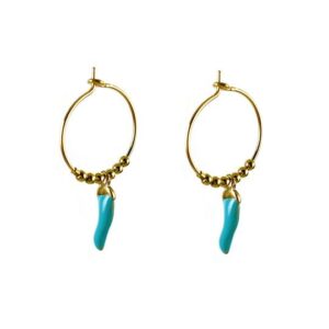 Blinckstar Oorbellen 211B30