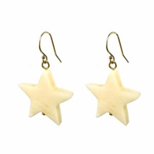 Blinckstar Oorbellen 211B41