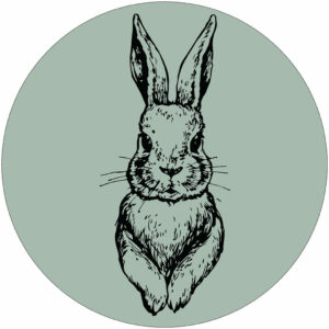 Muurcirkel - Haas - Mint
