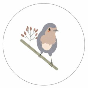 Muurcirkel - Roodborstje