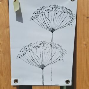 Tuinposter - Droogbloemen