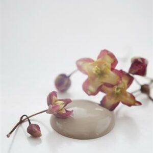 Vintage Paint - Antique Sand