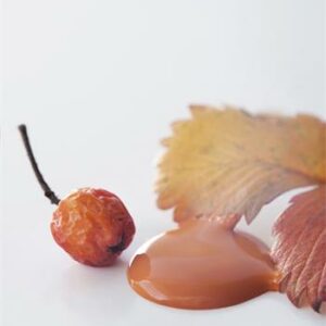Vintage Paint - Rusty Orange