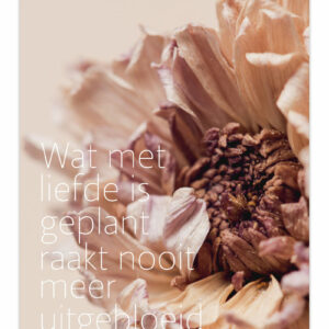 Poster Wat met liefde geplant is