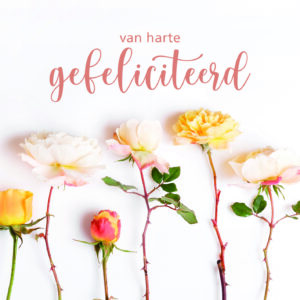 Dream - Van harte gefeliciteerd