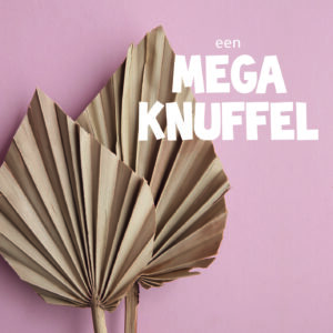 Dream - Een mega knuffel