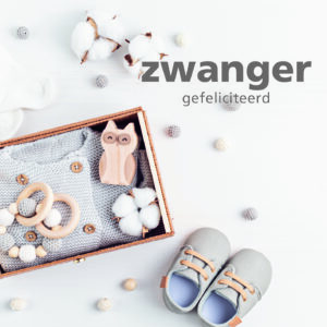 Dream - Zwanger