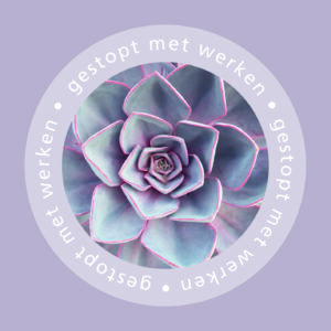 Dream - Gestopt met werken