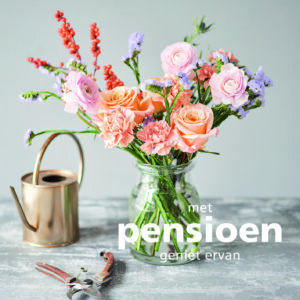 Dream - Pensioen