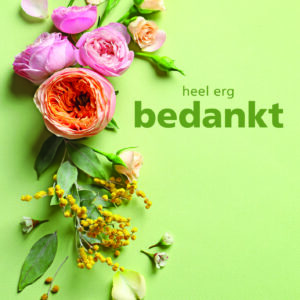 Dream - Bedankt