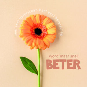 Dream - Word maar snel beter