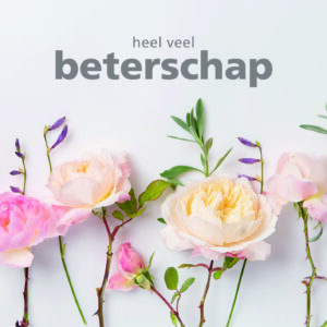 Dream - Beterschap