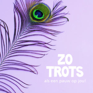 Dream - Zo Trots