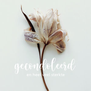Dream - Gecondoleerd