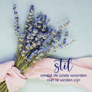 Dream - Stil