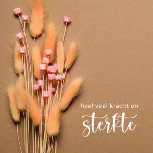 Dream - Heel veel sterkte