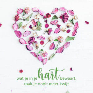 Dream - Wat je in je hart bewaart