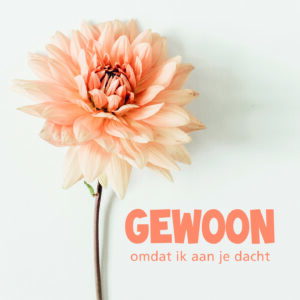 Dream - Gewoon omdat ik aan je dacht