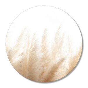 Muurcirkel - Pampas