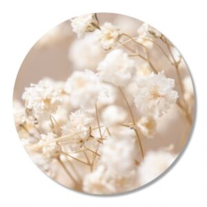 Muurcirkel - Witte bloemen