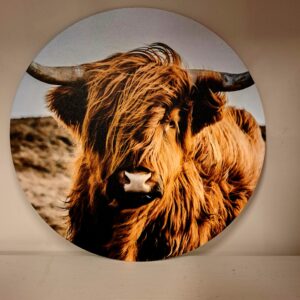 Muurcirkel - Schotse Hooglander