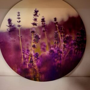 Muurcirkel - Lavendel