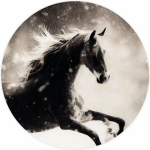 Muurcirkel - Horse