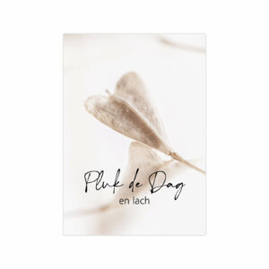 Poster - Pluk de dag en lach