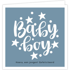 Zoo - Babyboy