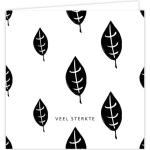 Zoo - Veel sterkte