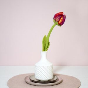 Tulp "Pien"