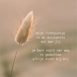 Forex Tegeltjes