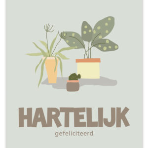 Flow - Hartelijk Gefeliciteerd