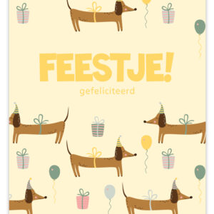 Flow - Feestje