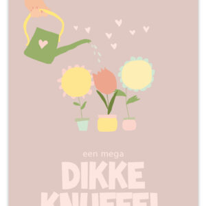 Flow - Dikke Knuffel