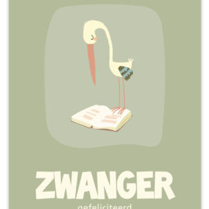 Flow - Zwanger