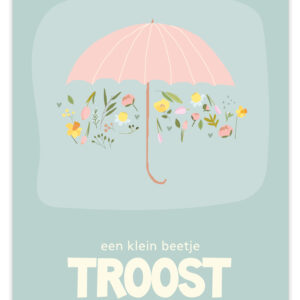 Flow - Troost