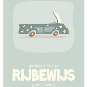Flow - Rijbewijs
