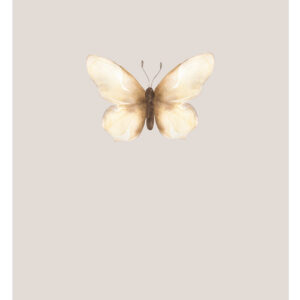 Water - Blanco vlinder