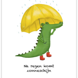 Postkaart - Na regen komt zonneschijn