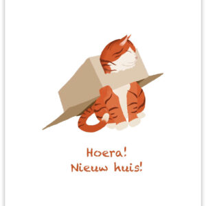 Postkaart - Nieuw Huis